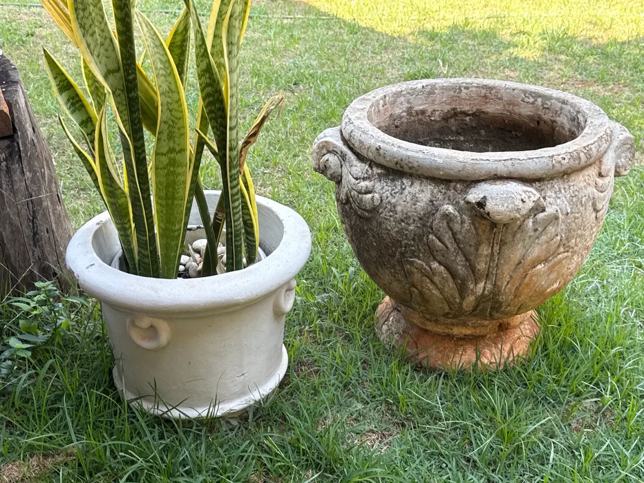 Vasos plantas - Foto 3
