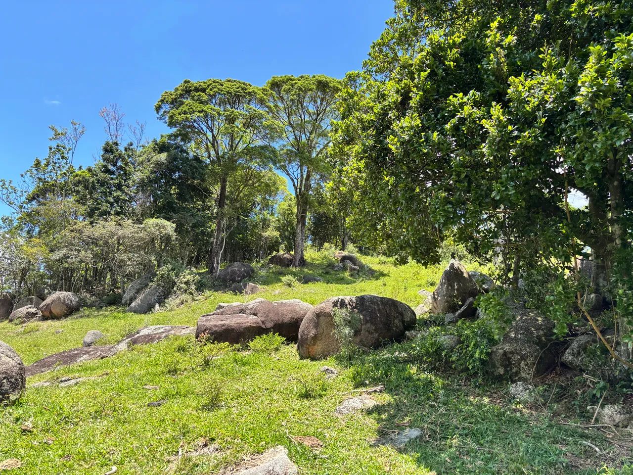 LINDO 2 HECTARES ESCRITURADO E COM LUZ! - Foto 4