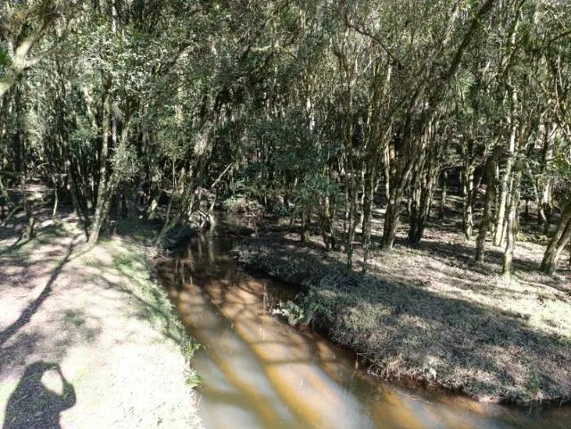 Chácara com 42.000,00m² - Foto 3