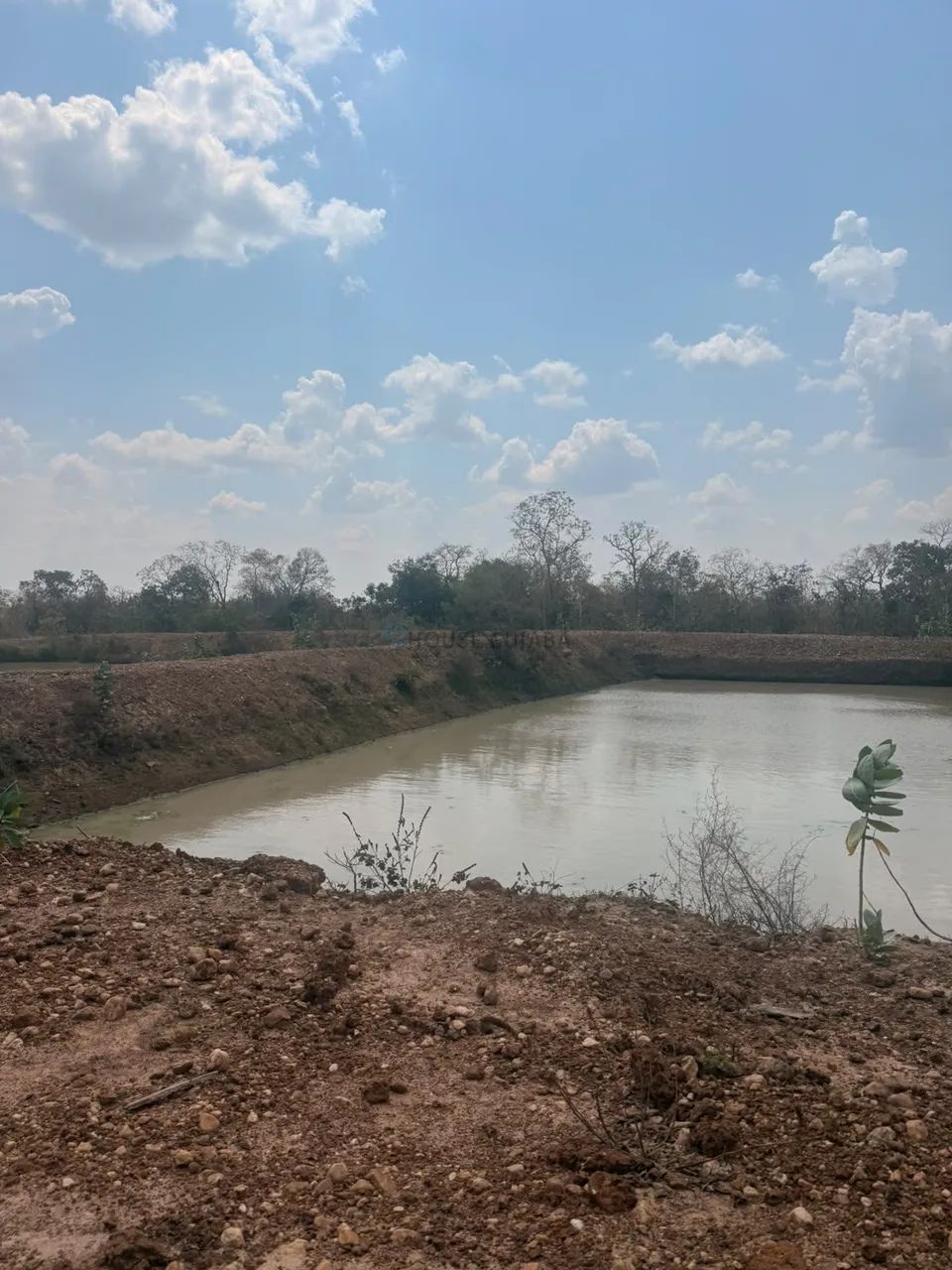 Vendo!!!  chácara na região da sadia 3 de 3 hectares com 5 tanques de peixes - Foto 5
