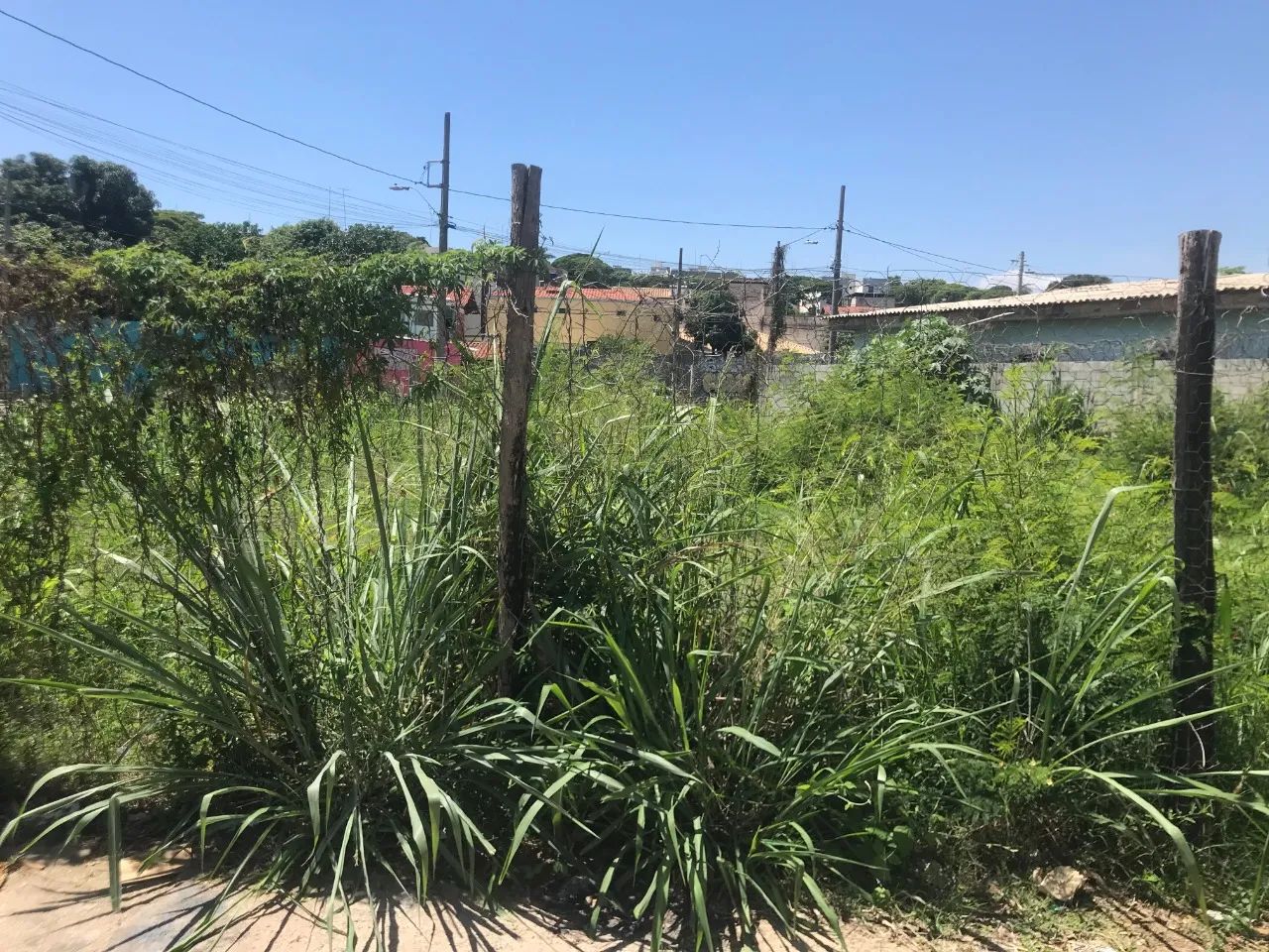 LOTE NO BAIRRO SERRANO COM 440 M² E 30 M² (FRENTE) - Foto 2
