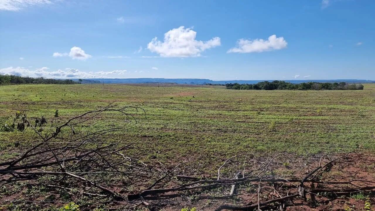 Fazenda formada entre Primavera do Leste e Poxoreu 2.400 ha - Foto 5