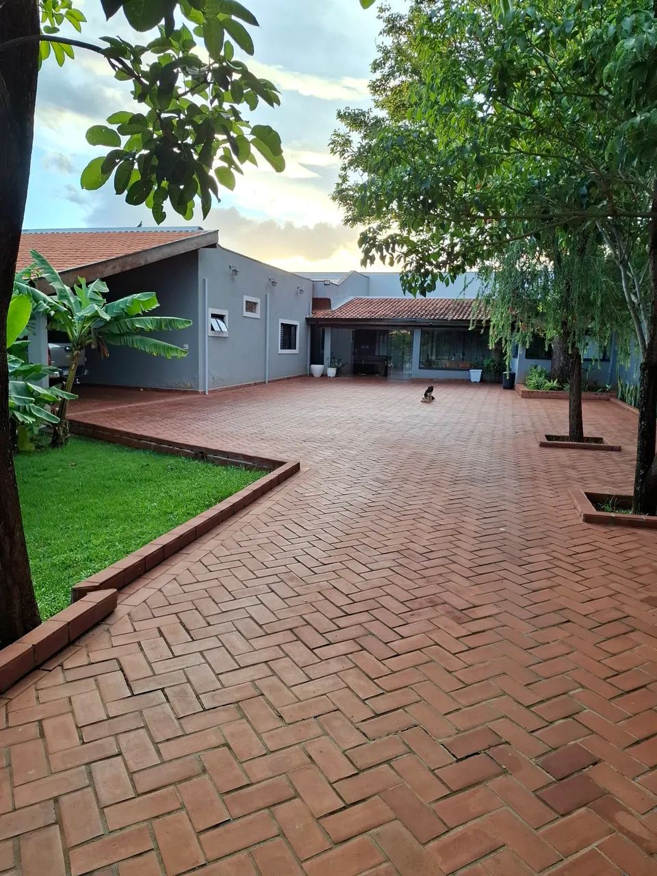 foto - Ribeirão Preto - Jardim Paulista