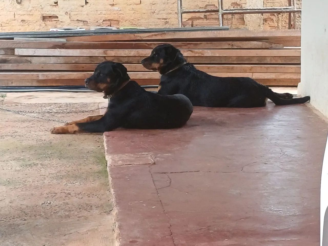 Vende 