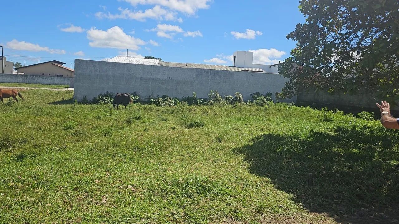Vendo Terreno em Bananeiras  - Foto 2