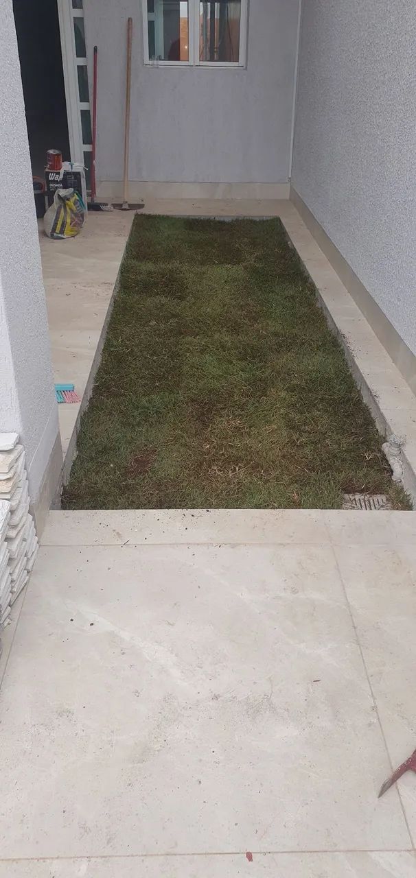 Jardinagem  - Foto 5