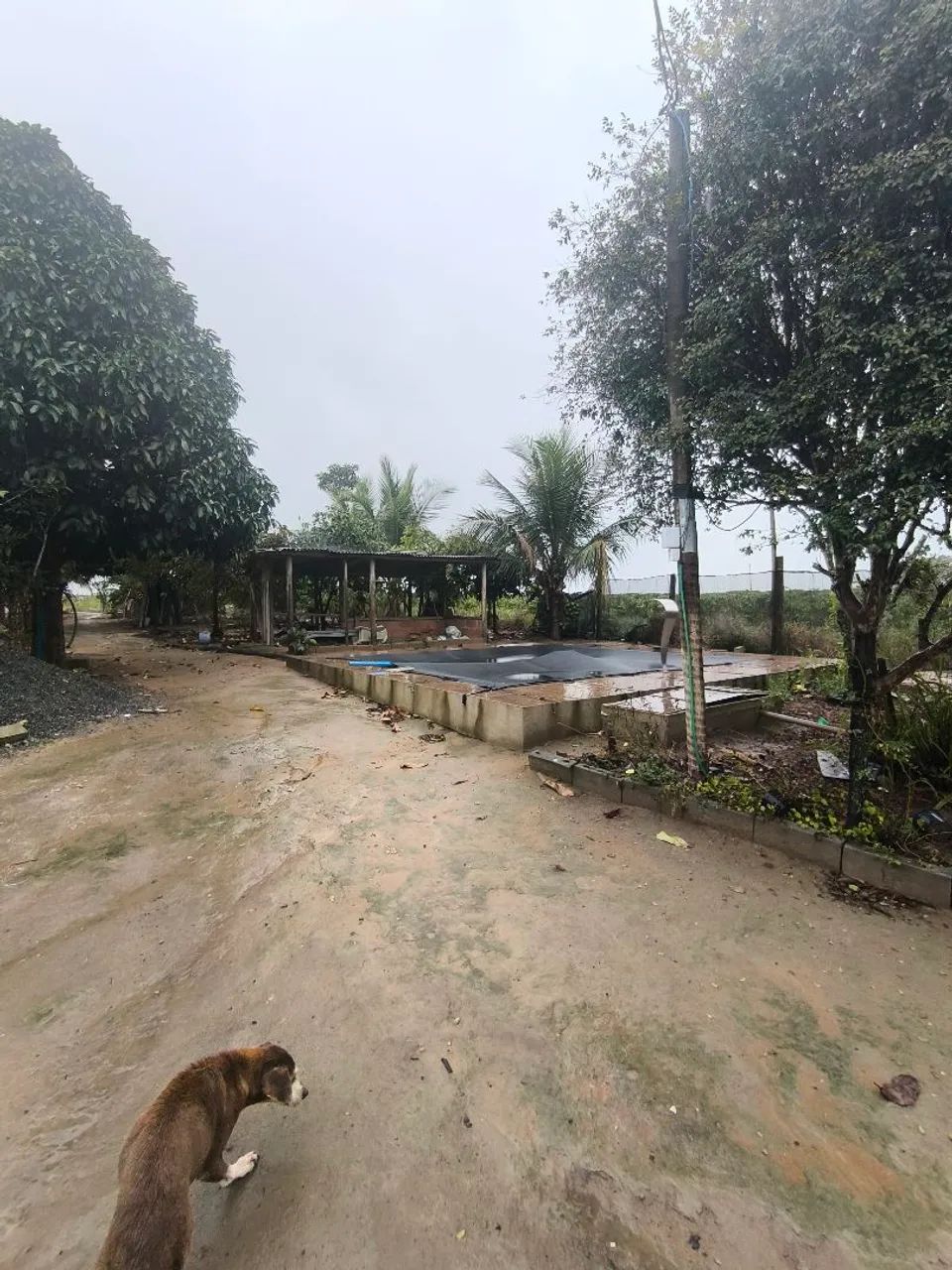 Vendo Terreno em jacupemba Aracruz es - Foto 5