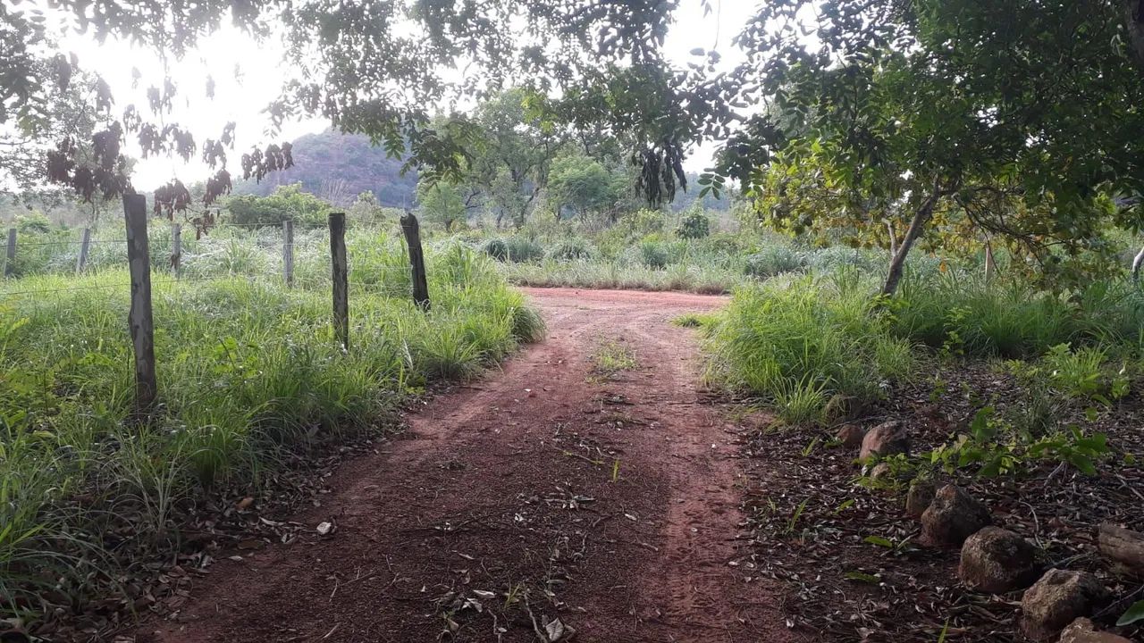 *FAZENDA NO MUNICÍPIO DE MIRACEMA -TO  - Foto 2