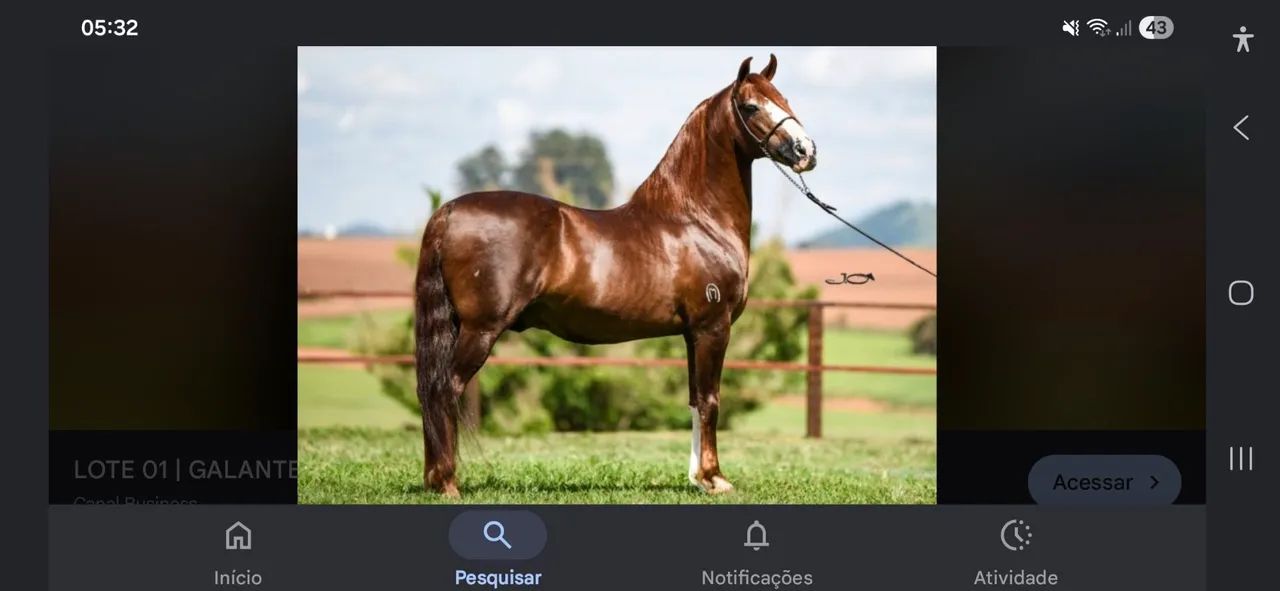 Para sair rápido  - Foto 2