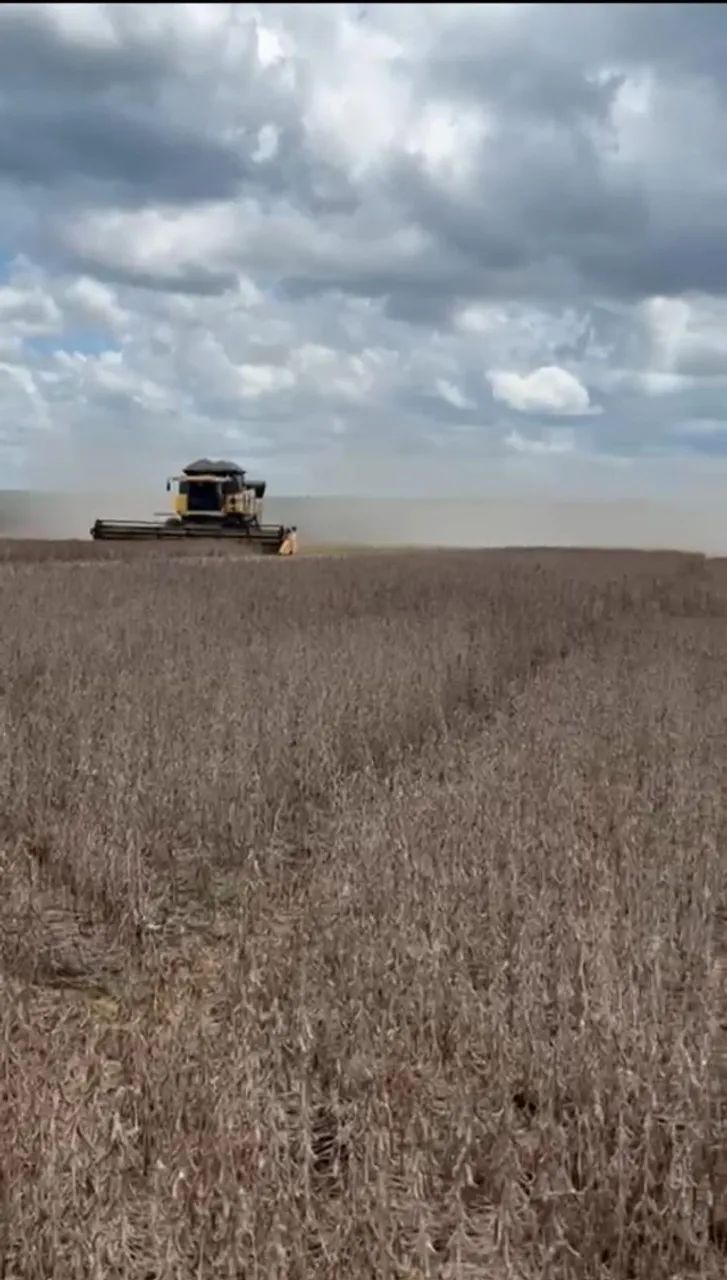 Fazenda à Venda em Santa Rita - Tocantins - Foto 4