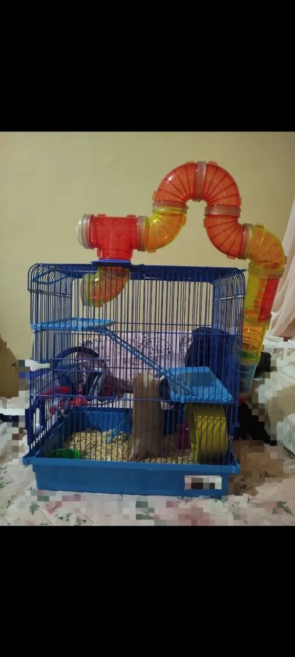 Casinha pra hamster 