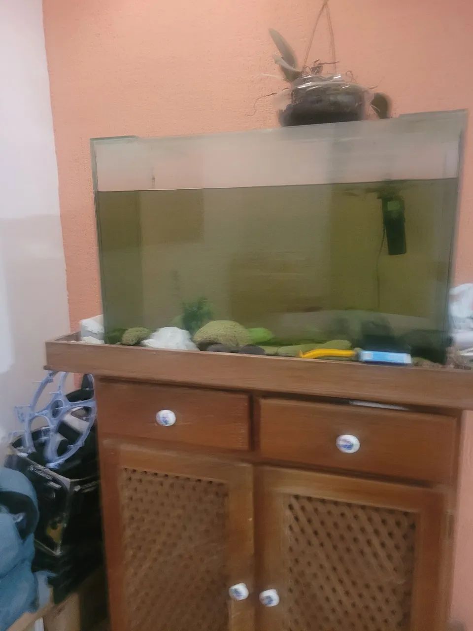 Aquario - Foto 3