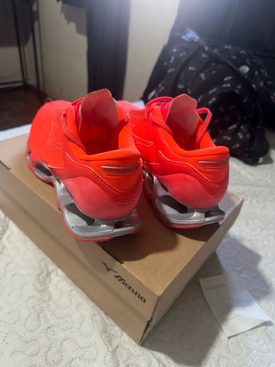 Mizuno prophecy 12 