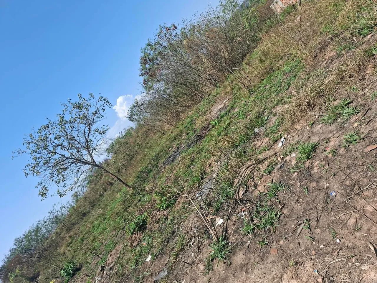 Lote de esquina em Juatuba - Foto 3