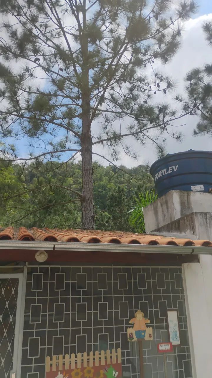 Serviços diversos 
