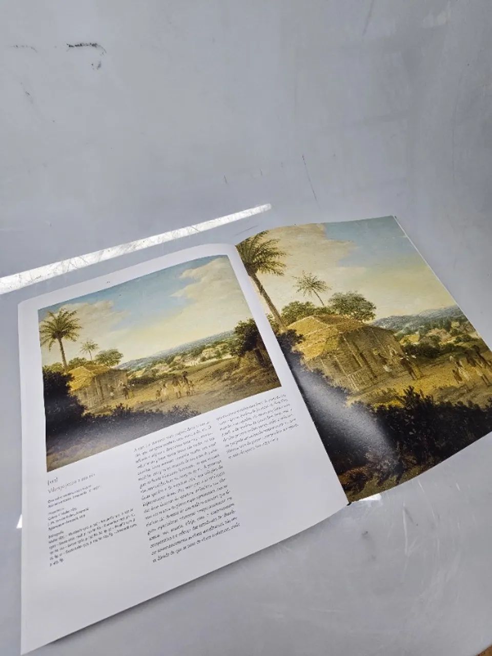 Livro Frans Post Obra Completa - Foto 5