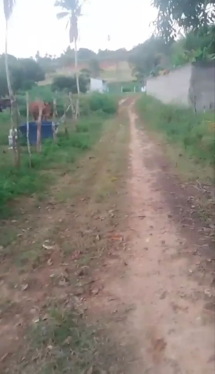 Terreno em itaporanga com documentação troco em moto tbm  - Foto 2