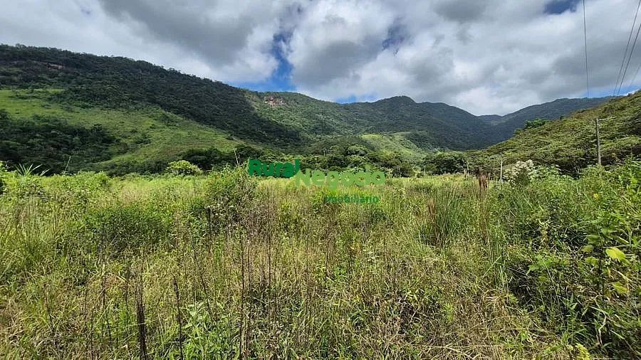 TERRENO PLANO PARA FORMAR CHÁCARA EM PINDAMONHANGABA-SP
