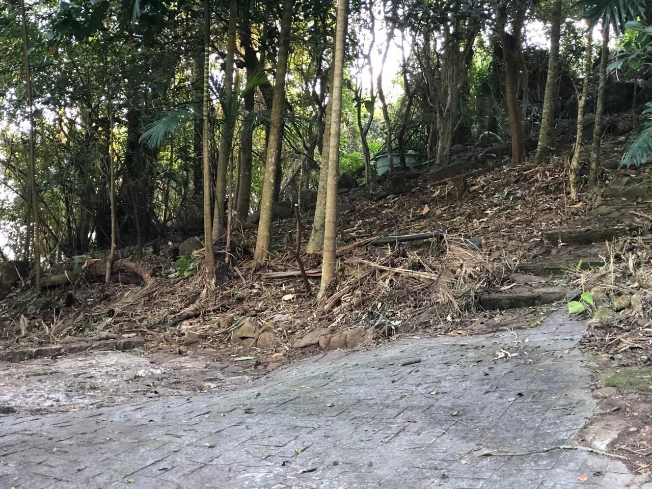 Terreno Ribeirão da Ilha Florianópolis  - Foto 2