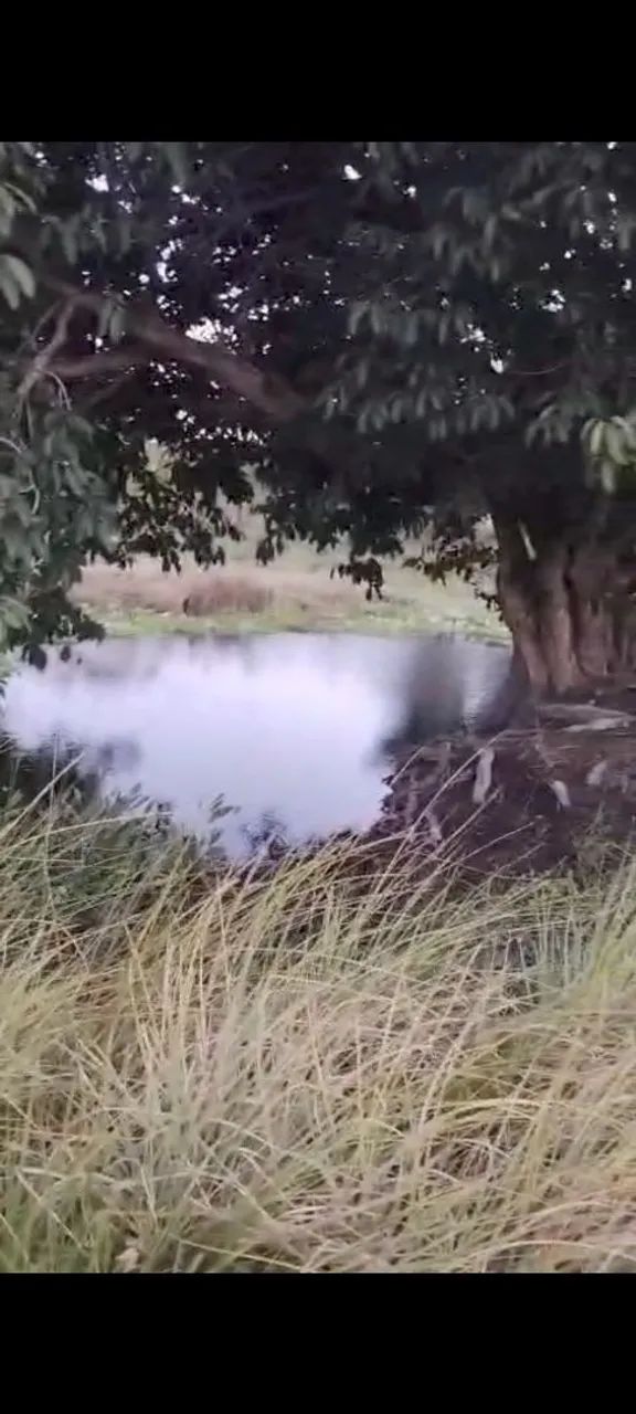 Vendo Terreno em Pidoretama - Foto 3