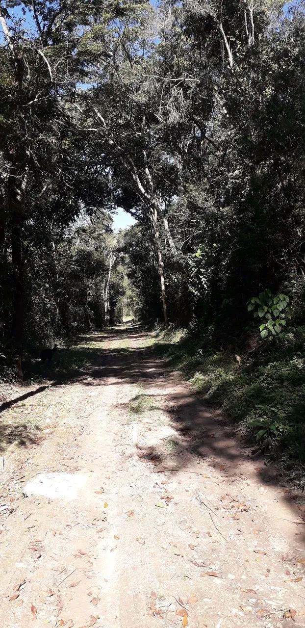 Sítio com rio de água potável  - Foto 3