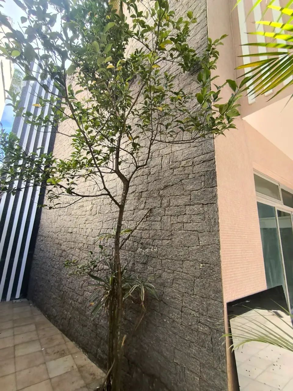Casa com com 4 quartos sendo 2 suítes, mais Apto 2/4 sendo 1 ste, piscina em Centro - Maca - Foto 4