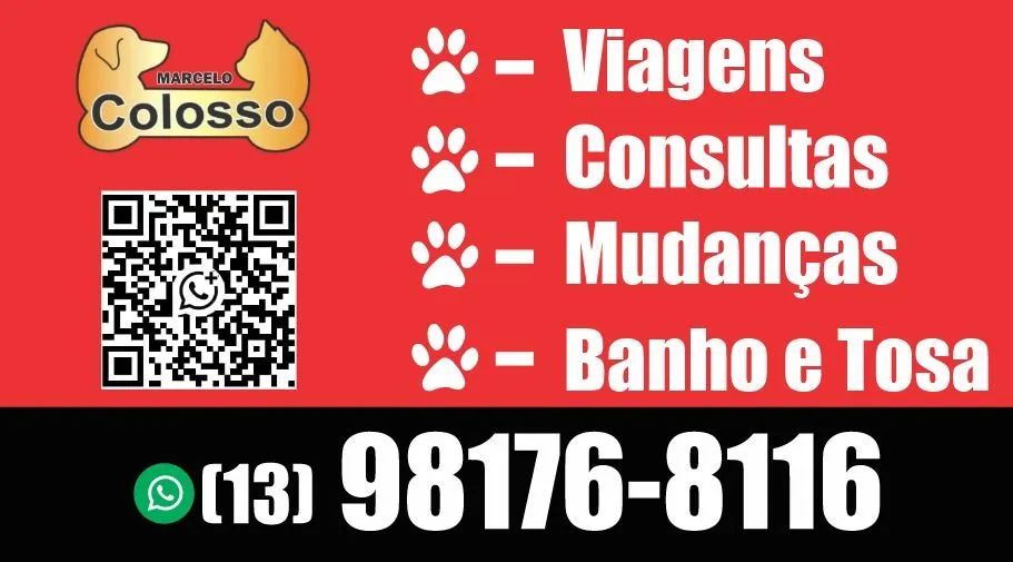 Táxi dog e pequenos carretos  - Foto 5