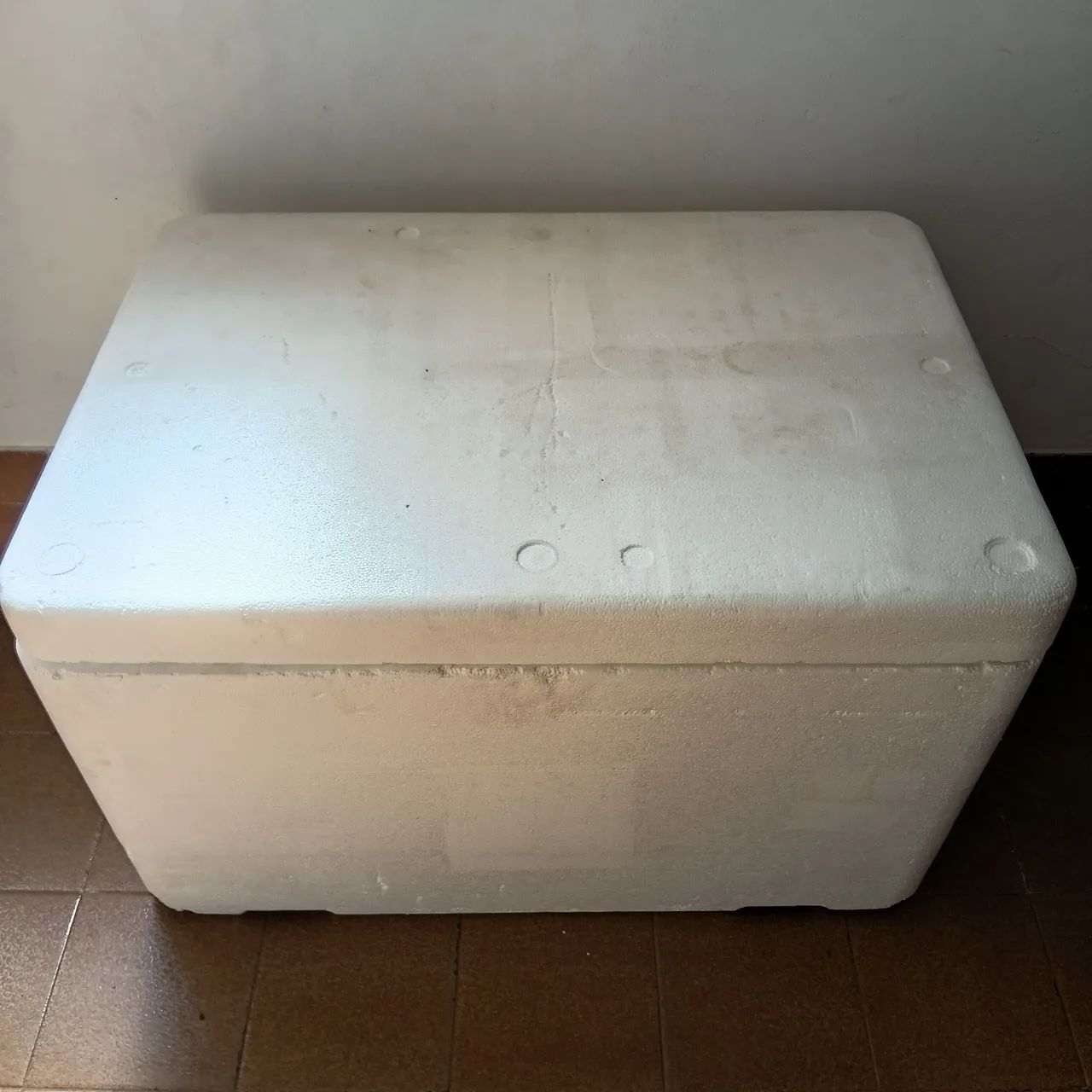 Caixa térmica  - Foto 2