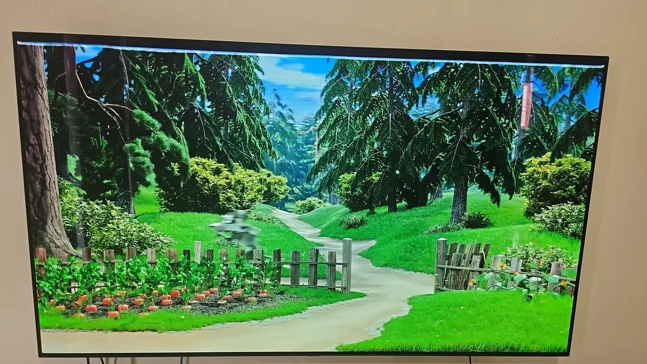 TV LG OLED 65 pol COM DEFEITO - Foto 4