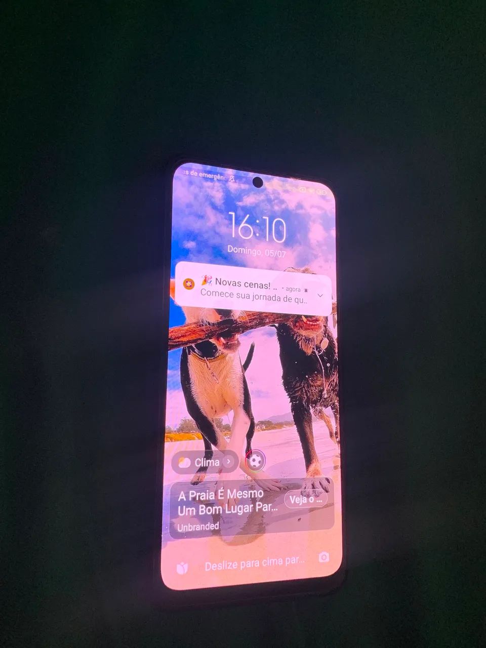 Celular 