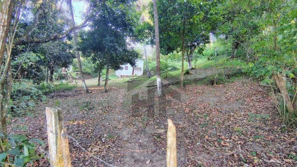Terreno de 16.300m² à venda, localizado na BR 101, Cabo de Santo Agostinho - Pernambuco. - Foto 8