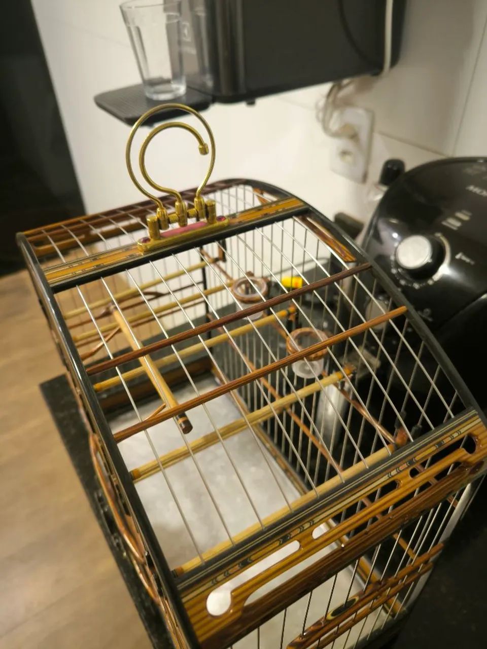 Vendo gaiola de passeio  - Foto 3