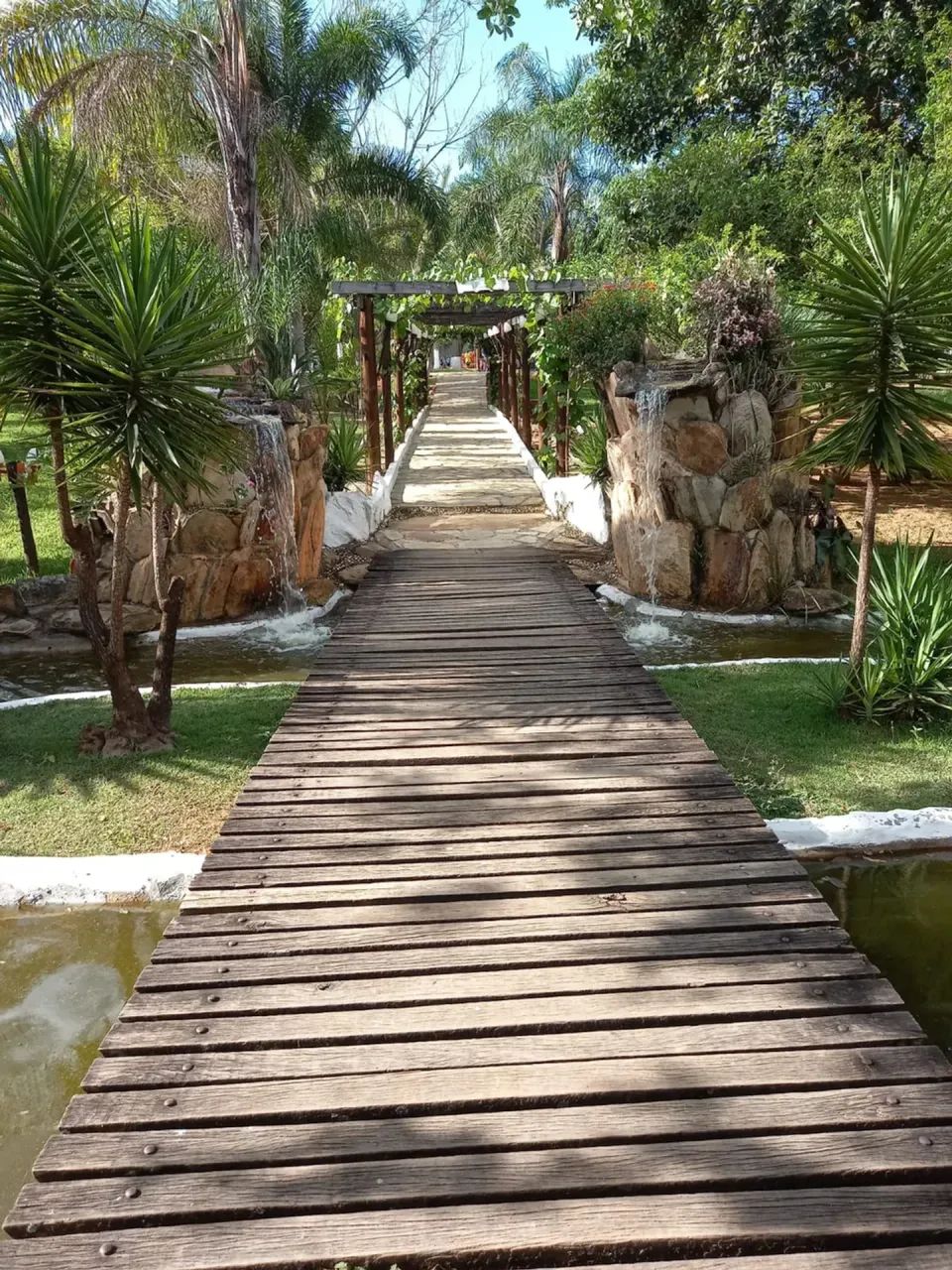 Samambaia - Brasília - DF