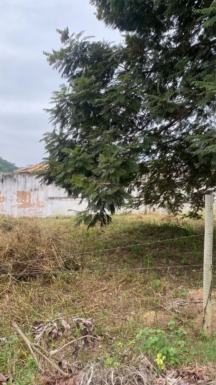 Terreno Monte Líbano