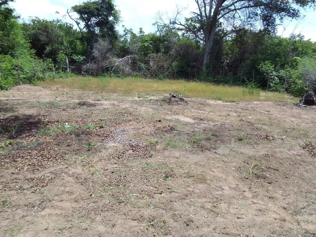 Excelente Terreno de 750 m² - Foto 3