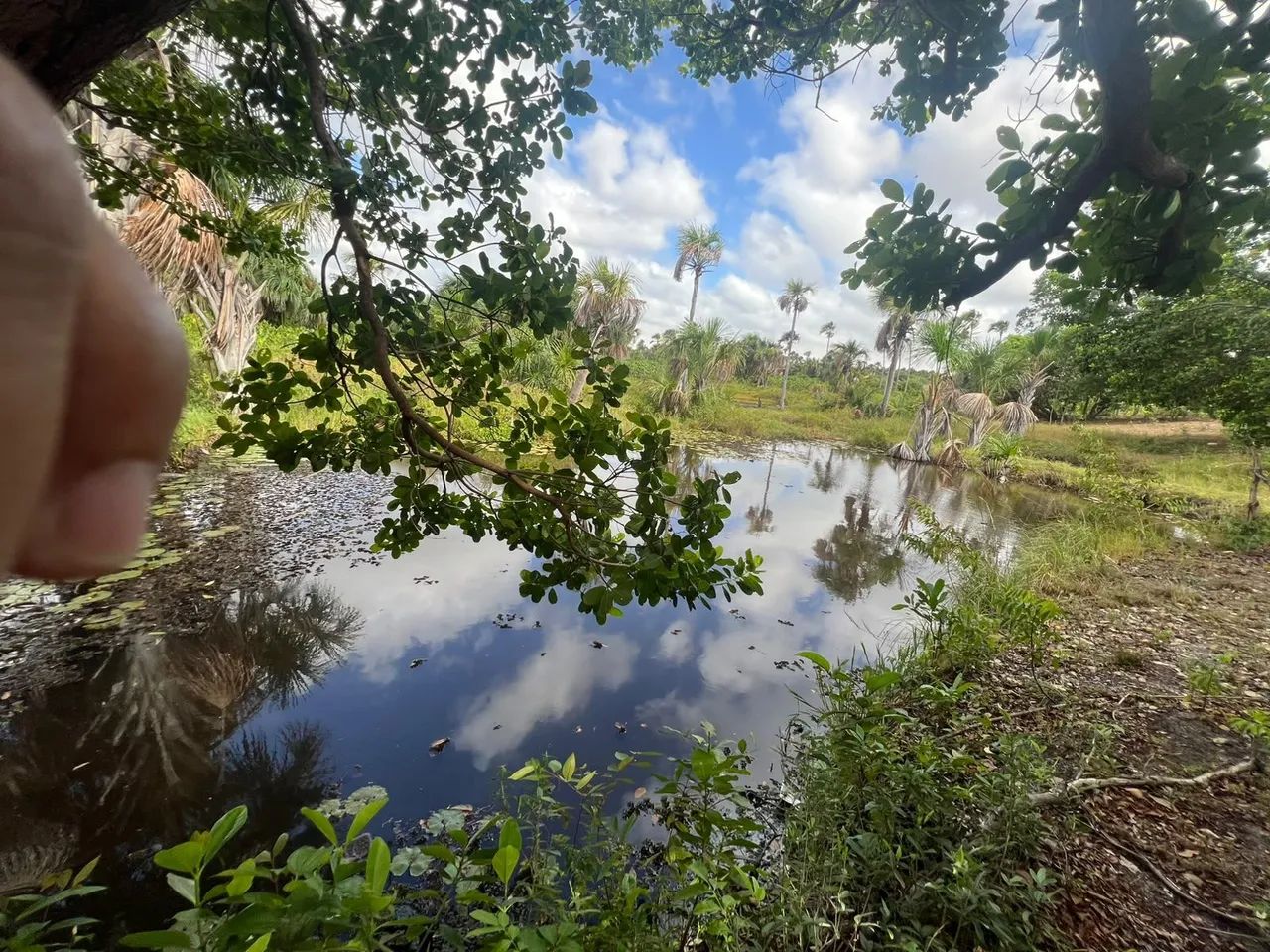 Vendo sitio em barreirinhas  - Foto 2