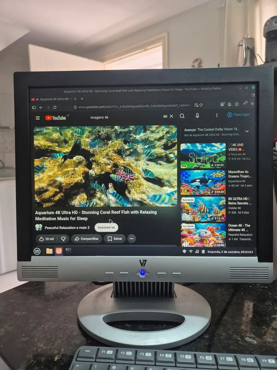 Monitor v7 15 polegadas