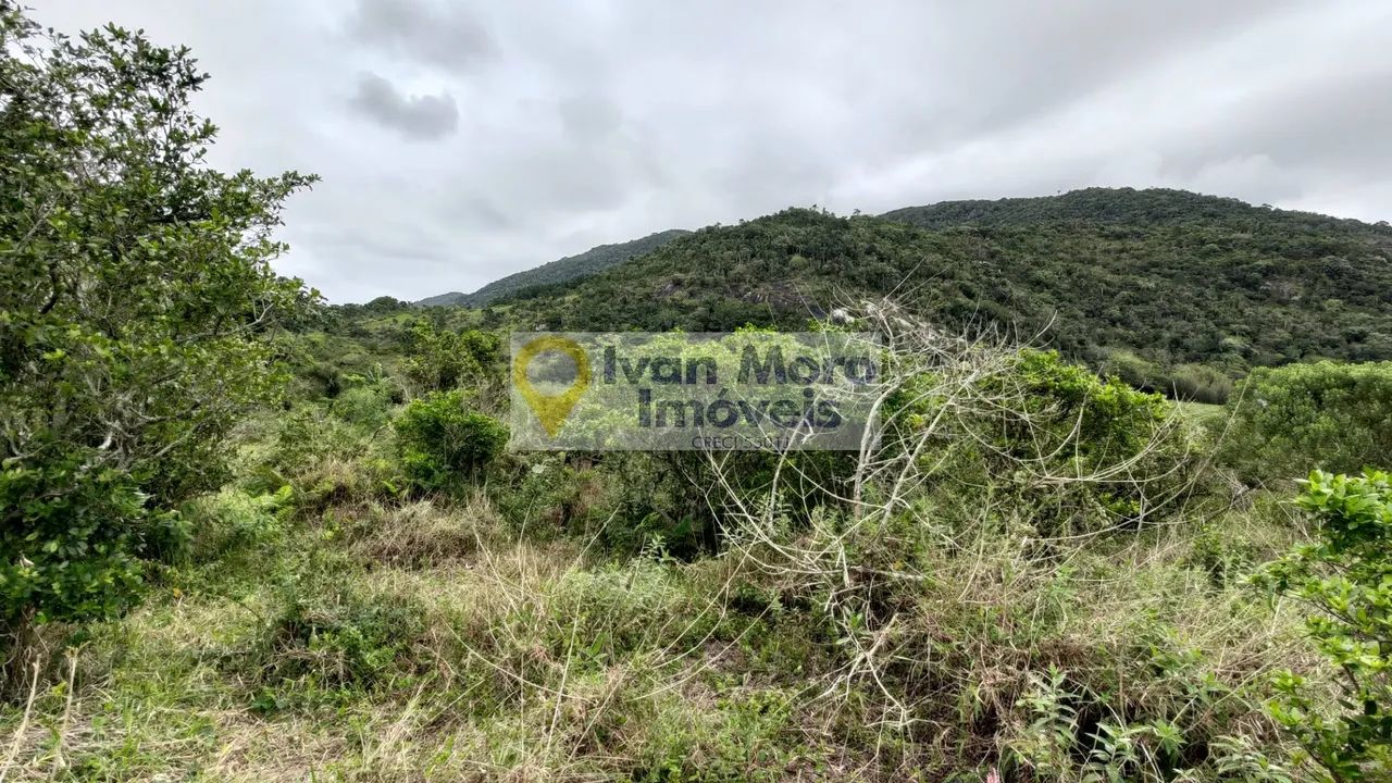 Terreno à venda em Ingleses do Rio Vermelho - Florianópolis - SC - Foto 4