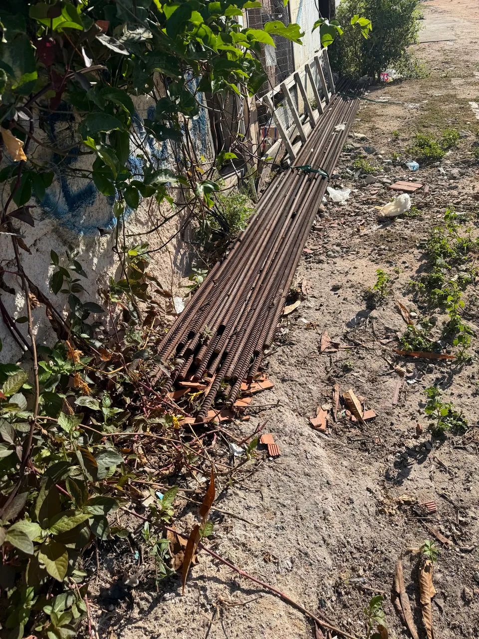 Vara de ferro  - Foto 2