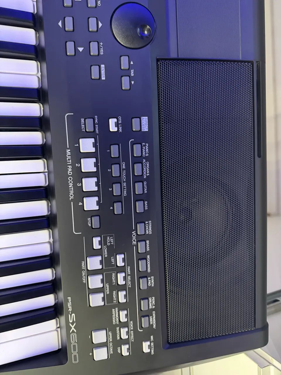 Yamaha sx600