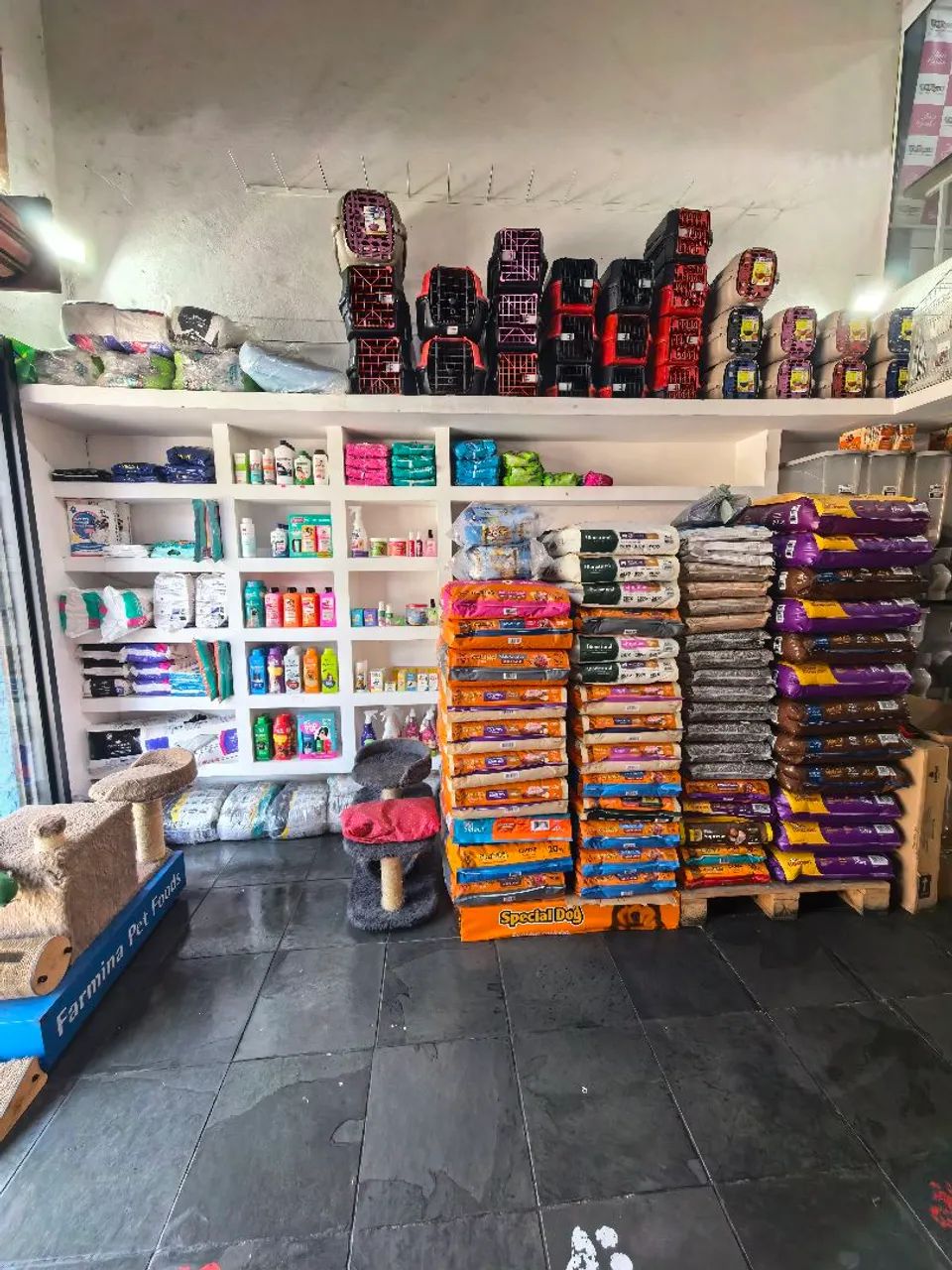 Passo o ponto Pet shop com banho e tosa - Foto 3
