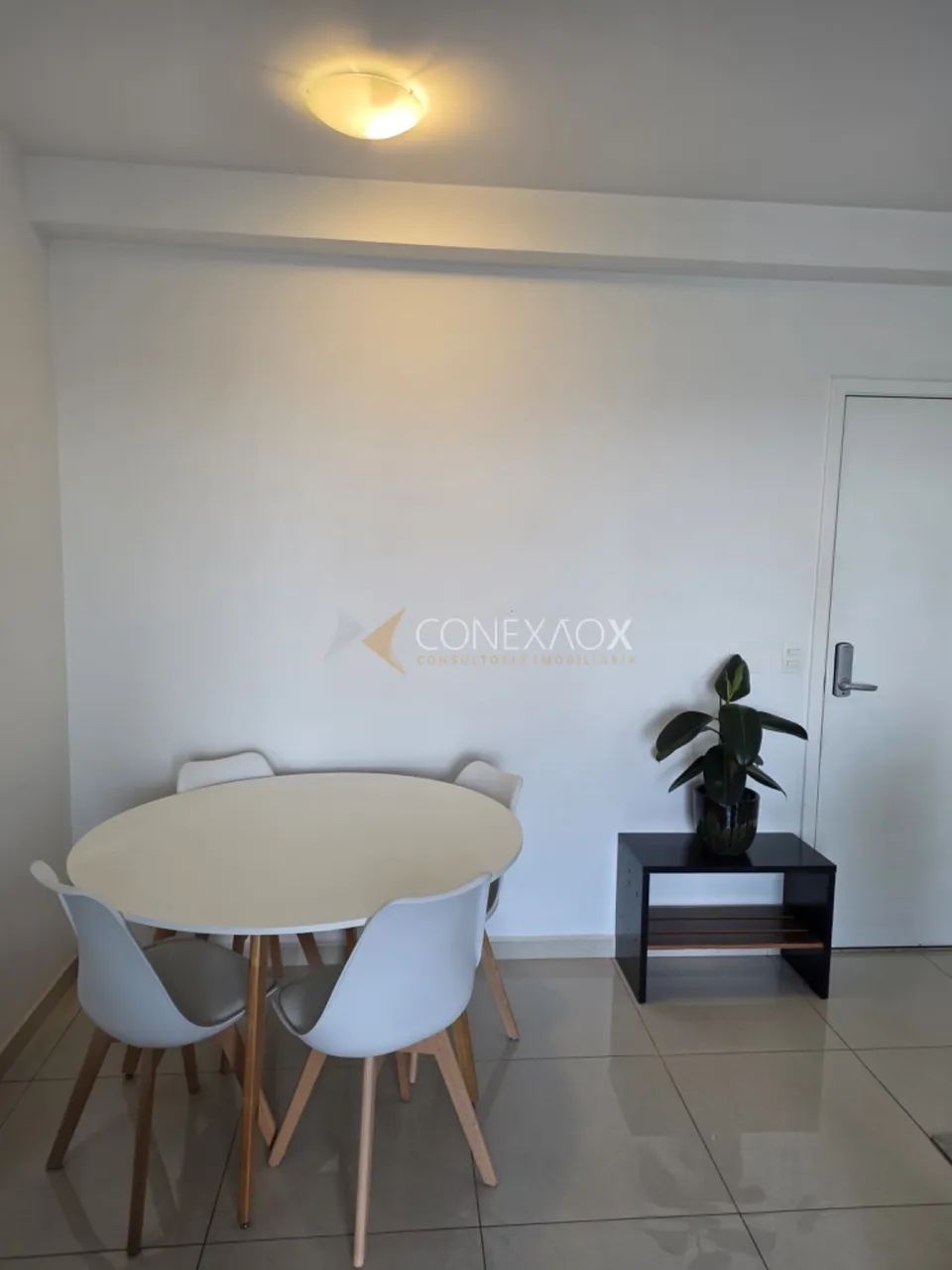 apartamento - Vila Lídia - Campinas - Foto 3