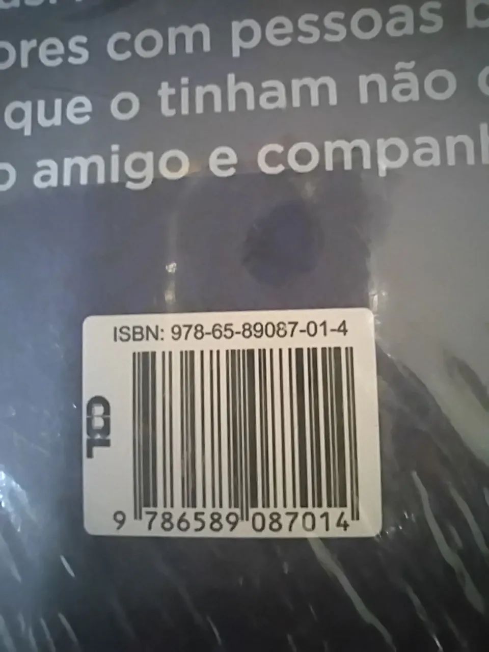 André Matos O MAESTRO DO HEAVY METAL - Foto 4