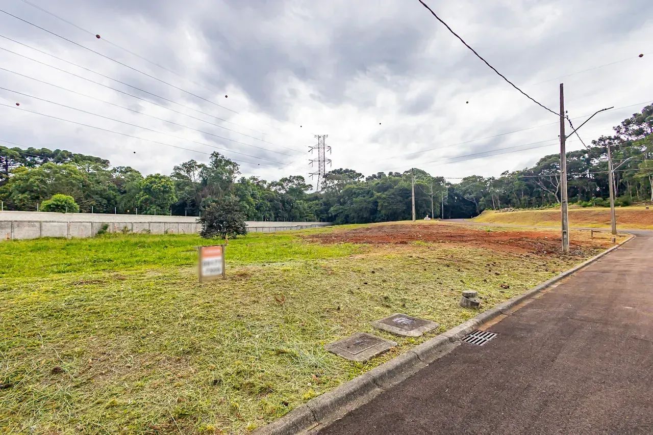 Terreno no Orleans - Curitiba - PR - Foto 5