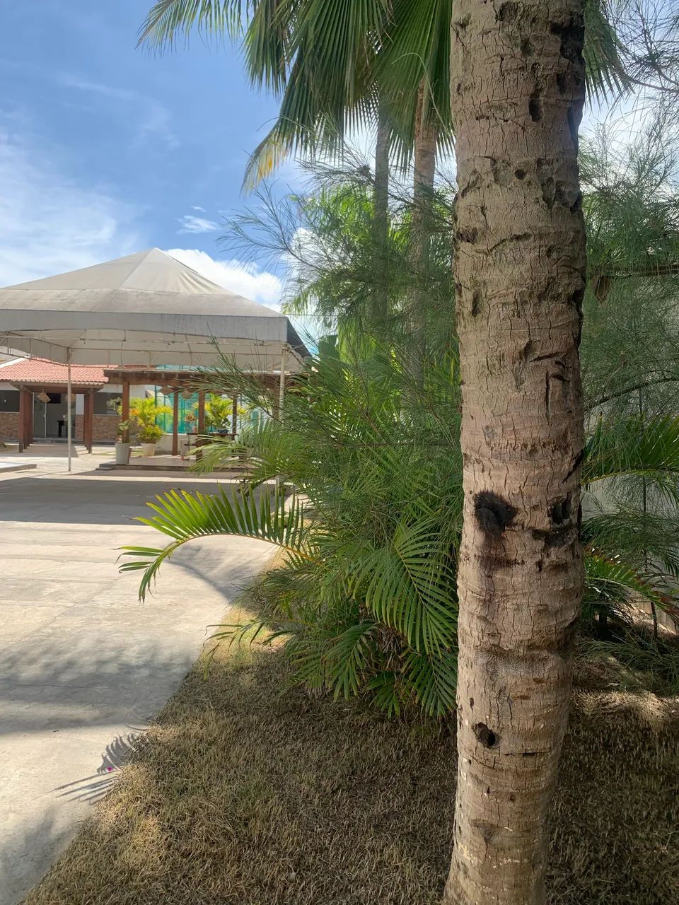 Alugo casa temporada de praia  carnaval - Foto 7