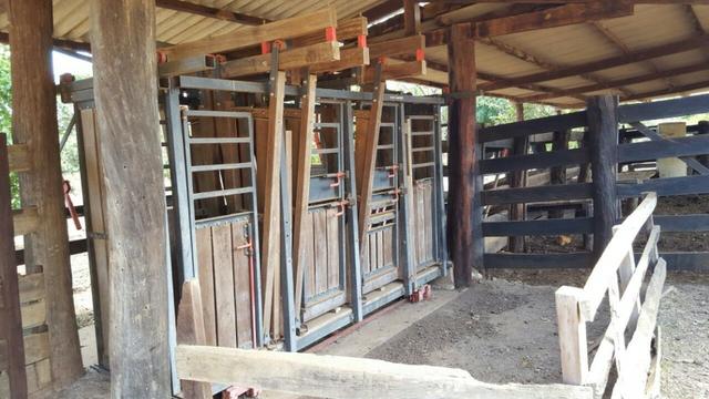 Fazenda com 355 ha na saída para Paraíso - Foto 4