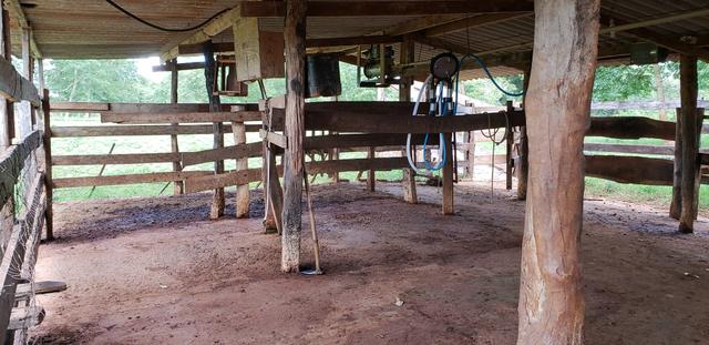 Chácara 30 ha - R$ 430.000,00 - Foto 3