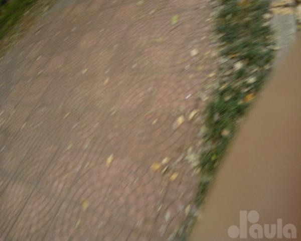Terrano plano no jardim são caetano - Foto 20