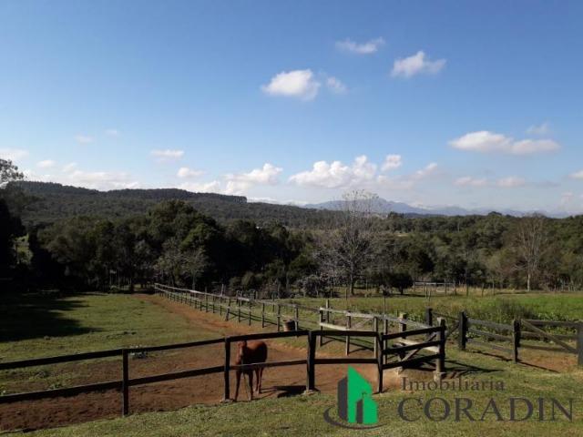 Haras em Campina Grande do Sul - Foto 13