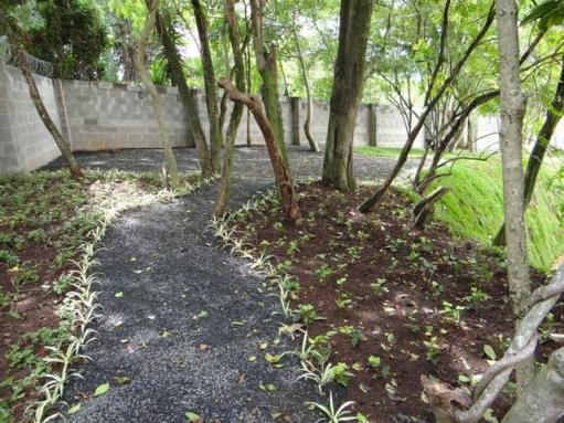 Casa para alugar com 1 dormitórios em , cod:I-004623 - Foto 4